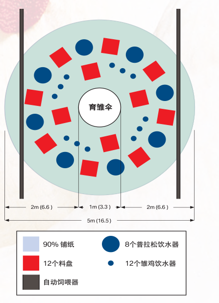 PP电子仿照器(试玩游戏)官方网站