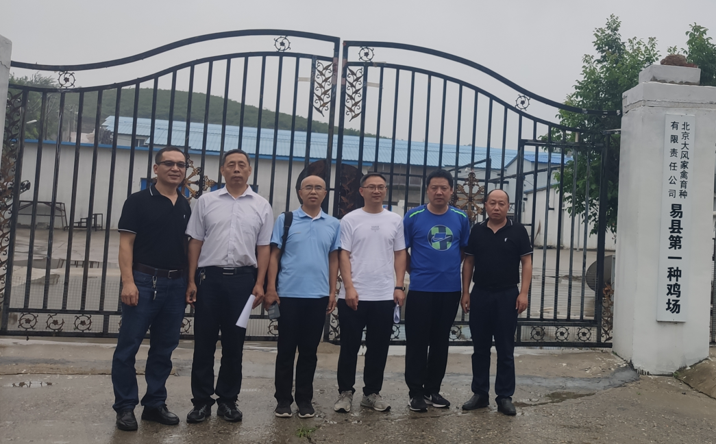 PP电子仿照器(试玩游戏)官方网站