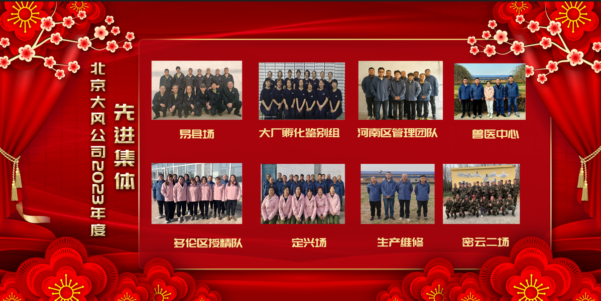 1713935802846088.png 先进集体-幼.png