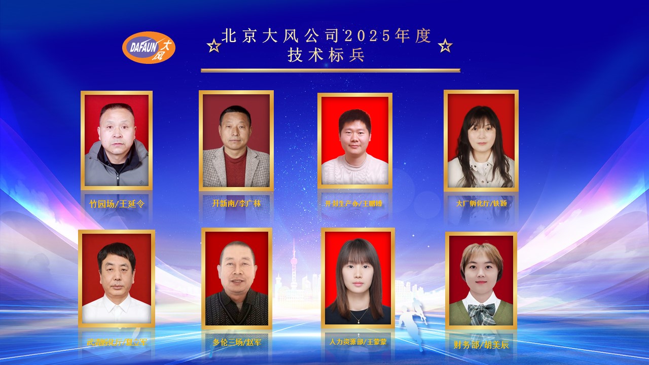 1776148675142092.jpg 北京PP电子模拟器赞美大会-技术标兵.jpg