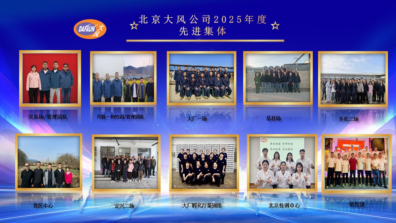 1776148707645272.jpg 北京PP电子模拟器赞美大会-2025.jpg